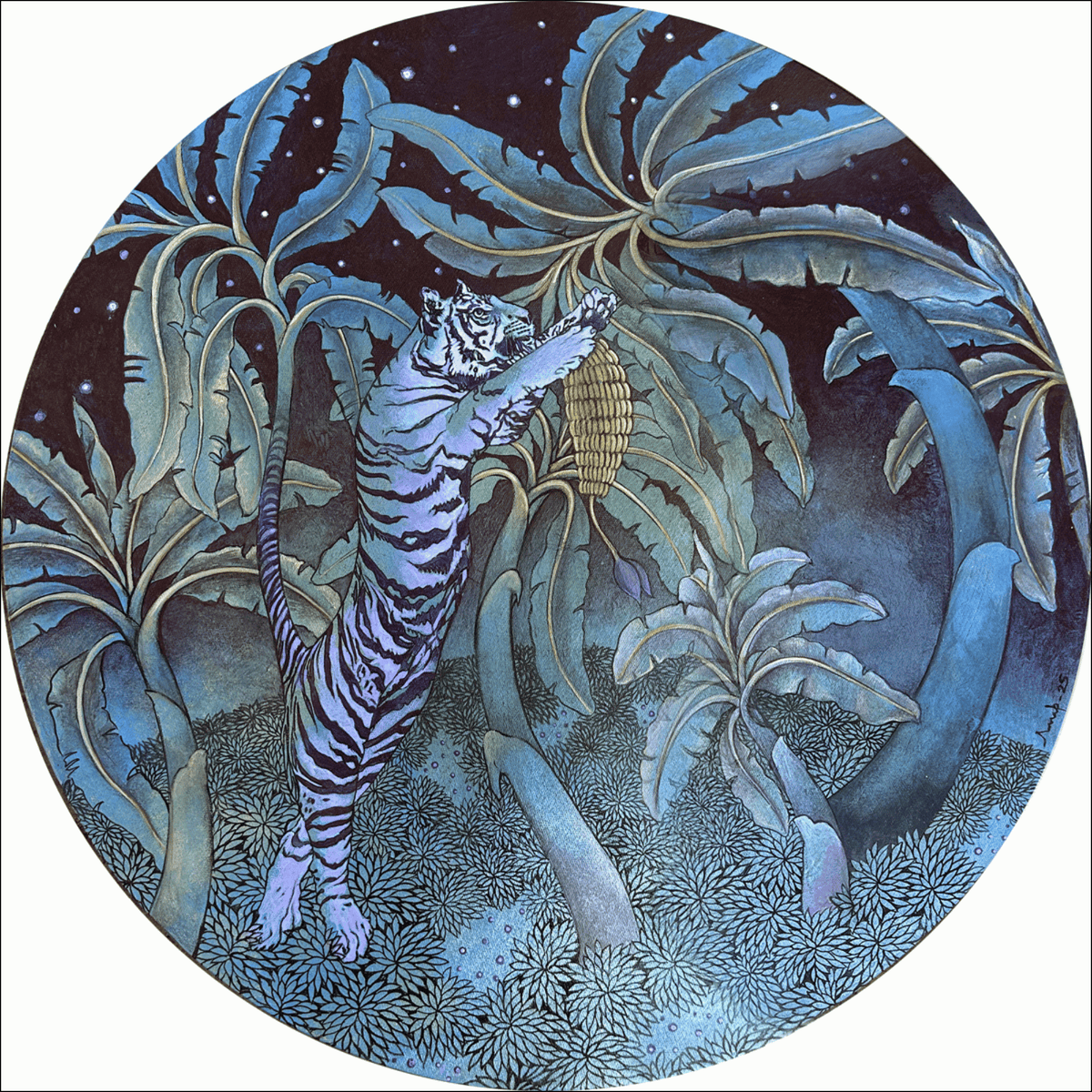 Moonlight Night Story