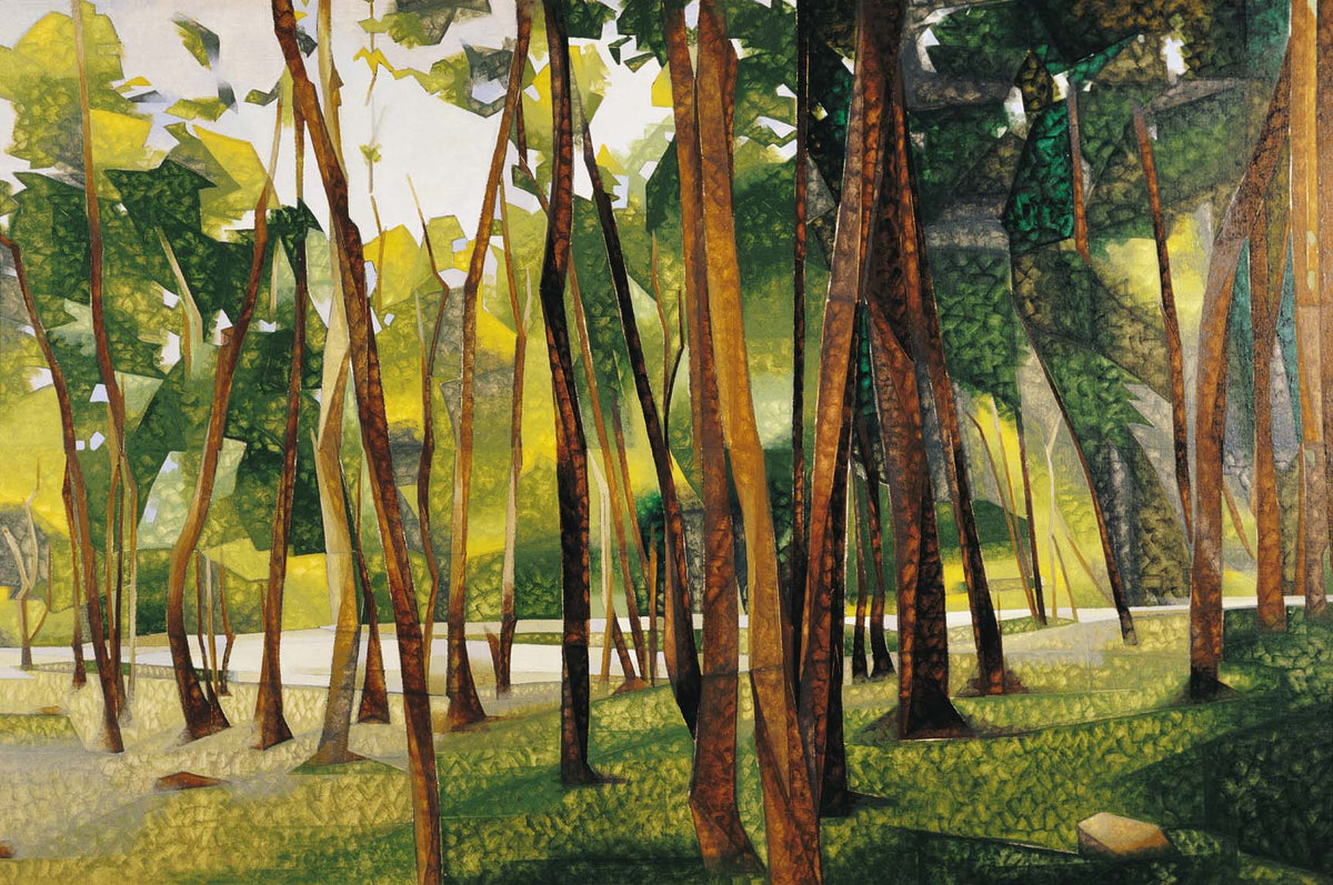 The Woods, Palni Hills - II