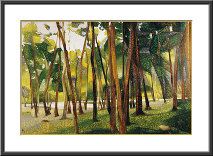 The Woods, Palni Hills - II